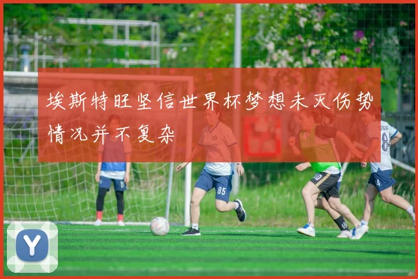 埃斯特旺坚信世界杯梦想未灭伤势情况并不复杂