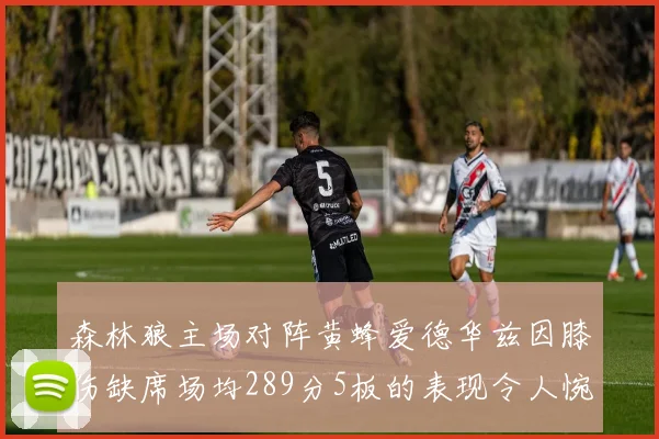 森林狼主场对阵黄蜂爱德华兹因膝伤缺席场均289分5板的表现令人惋惜